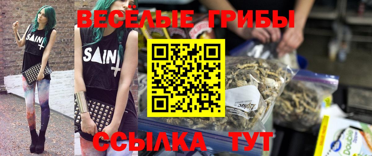 хочу наркоту  Псилоцибиновые грибы MAGIC MUSHROOMS  Вход с VPN  Сочи  Галлюциногенные грибы ЛСД 